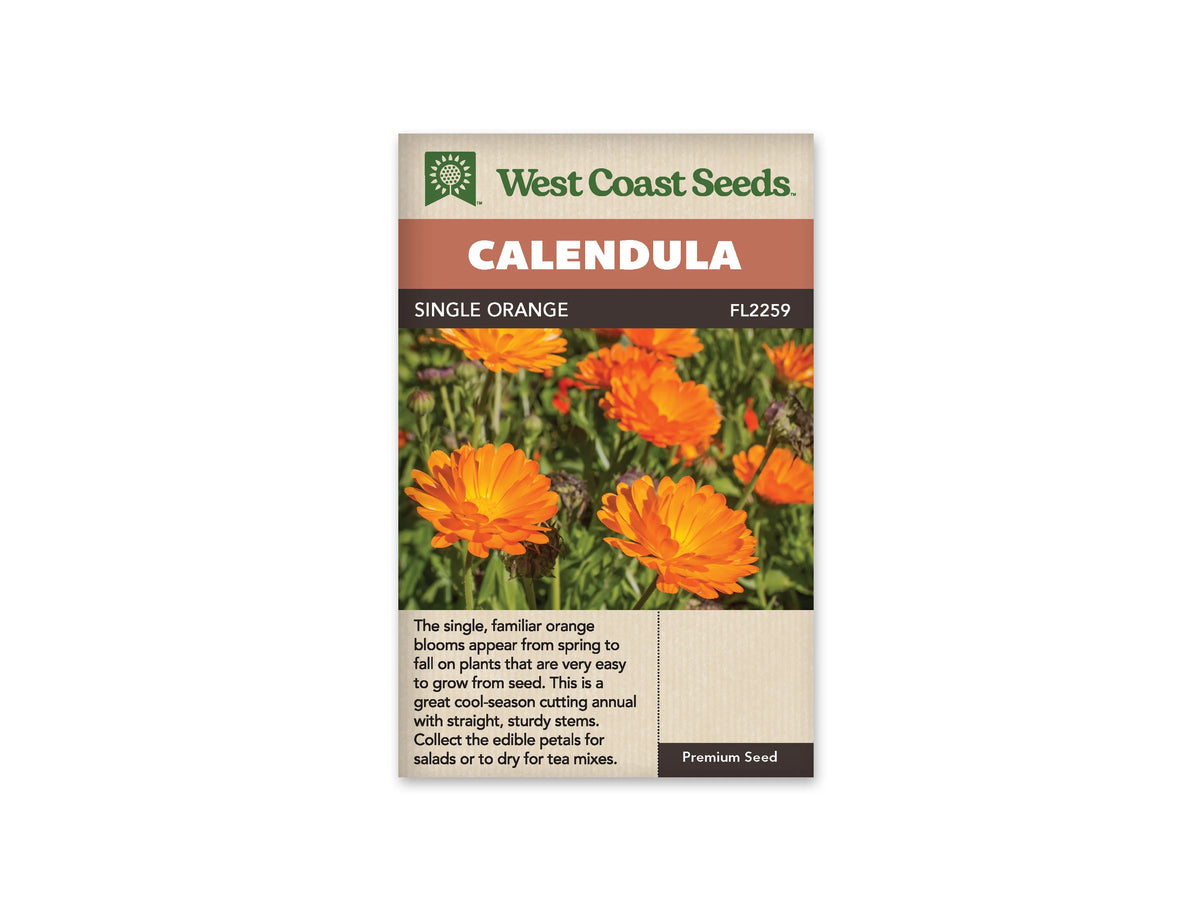 Sachet Single Orange de West Coast Seeds sur fond blanc. La photo centrale montre des fleurs orange vif sur des tiges vertes, avec des boutons et quelques têtes fanées entre les fleurs ouvertes. Le mot Calendula apparaît dans le bandeau orangé. Le nom Single Orange et le code FL2259 figurent dans la bande brune.