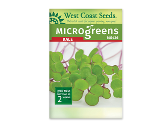 Sachet blanc West Coast Seeds pour micropousses de chou frisé, avec le nom anglais Kale en rouge sous un bandeau vert. La photo montre de petites feuilles vertes arrondies, portées par des tiges fines aux nuances pourpres. Le code MG426 figure sous le nom. Un encadré vert dans le coin inférieur gauche indique deux semaines.