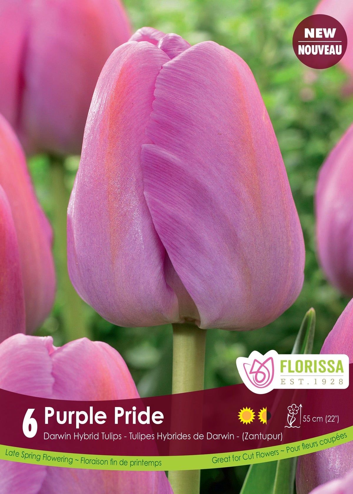 Tulipe Purple Pride ( Tulipa ) : une tulipe rose lilas en coupe arrondie. Le visuel Florissa présente la plante et son nom dans la partie inférieure de l’étiquette. La photographie occupe presque toute la surface, tandis que le bandeau du bas rassemble les indications du produit. Cette vue permet de reconnaître son apparence et de distinguer la variété présentée.