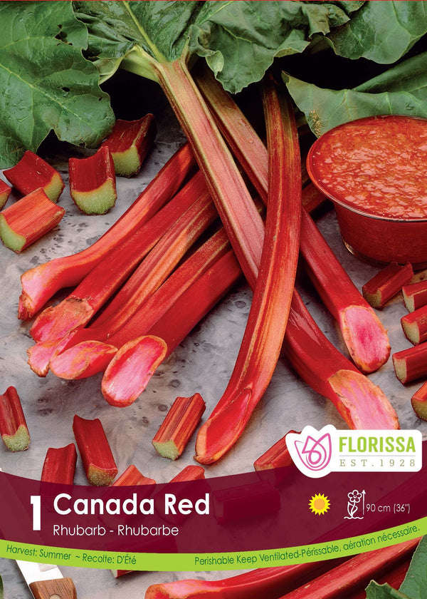 'Canada Red' Rhubarb