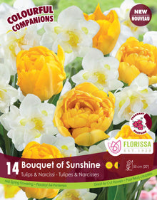 Harmonie Florale ‘Bouquet of Sunshine’ ( Tulipa et Narcissus ) : des tulipes doubles jaunes parmi des narcisses doubles blancs et jaunes. Le visuel Florissa présente la plante et son nom dans la partie inférieure de l’étiquette. La photographie occupe presque toute la surface, tandis que le bandeau du bas rassemble les indications du produit. Cette vue permet de reconnaître son apparence et de distinguer la variété présentée.