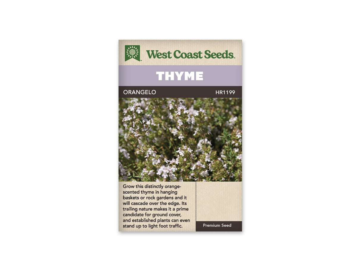 Sachet West Coast Seeds avec les mentions Thyme et Orangelo. La photo présente un tapis de petites feuilles vertes, ponctué de nombreuses fleurs très pâles, roses à blanches. Le nom Thyme figure dans un bandeau mauve au bas de l’image. Le logo vert de la marque se trouve au-dessus de la photo, sur fond blanc.