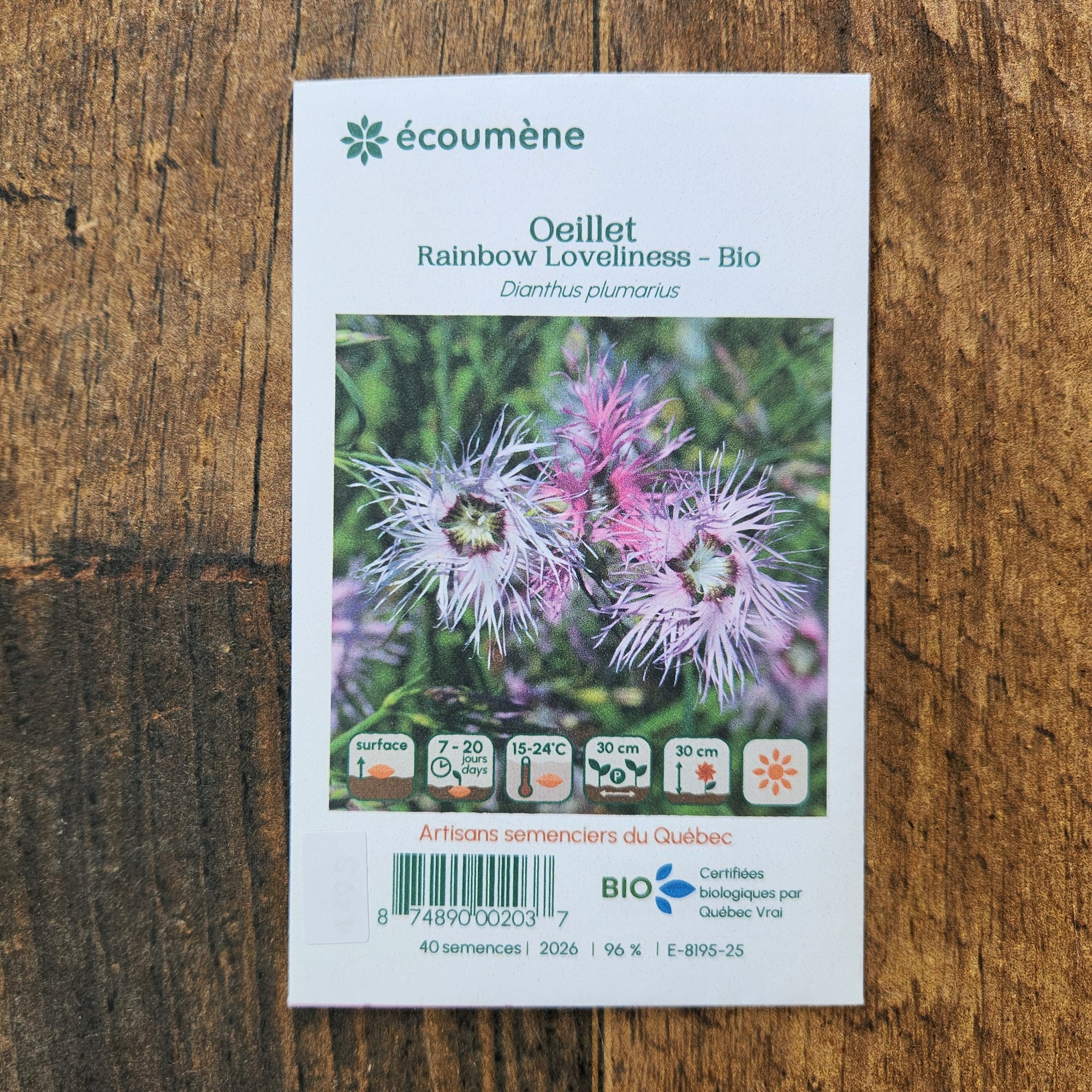 Sachet de semences Œillet Rainbow Loveliness. Emballage blanc photographié de face sur un fond de bois brun. Une image du végétal occupe la partie centrale, sous le nom imprimé. De petits pictogrammes et un code-barres apparaissent au bas du sachet. La marque Écoumène figure dans la partie supérieure de cette présentation.