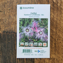 Sachet de semences Œillet Rainbow Loveliness. Emballage blanc photographié de face sur un fond de bois brun. Une image du végétal occupe la partie centrale, sous le nom imprimé. De petits pictogrammes et un code-barres apparaissent au bas du sachet. La marque Écoumène figure dans la partie supérieure de cette présentation.