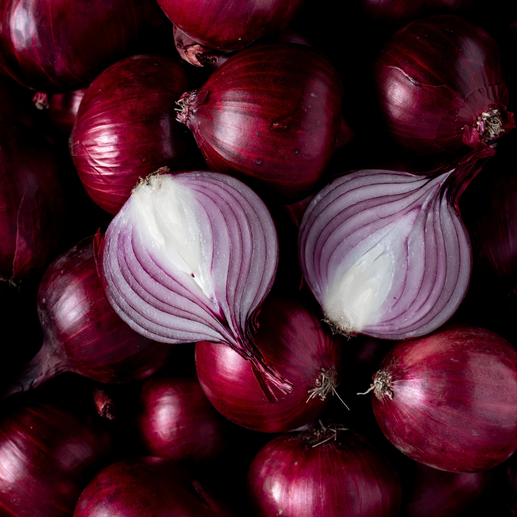 Organic Monastrell F1 Onion