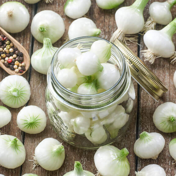 Oignon 'White Pickling'