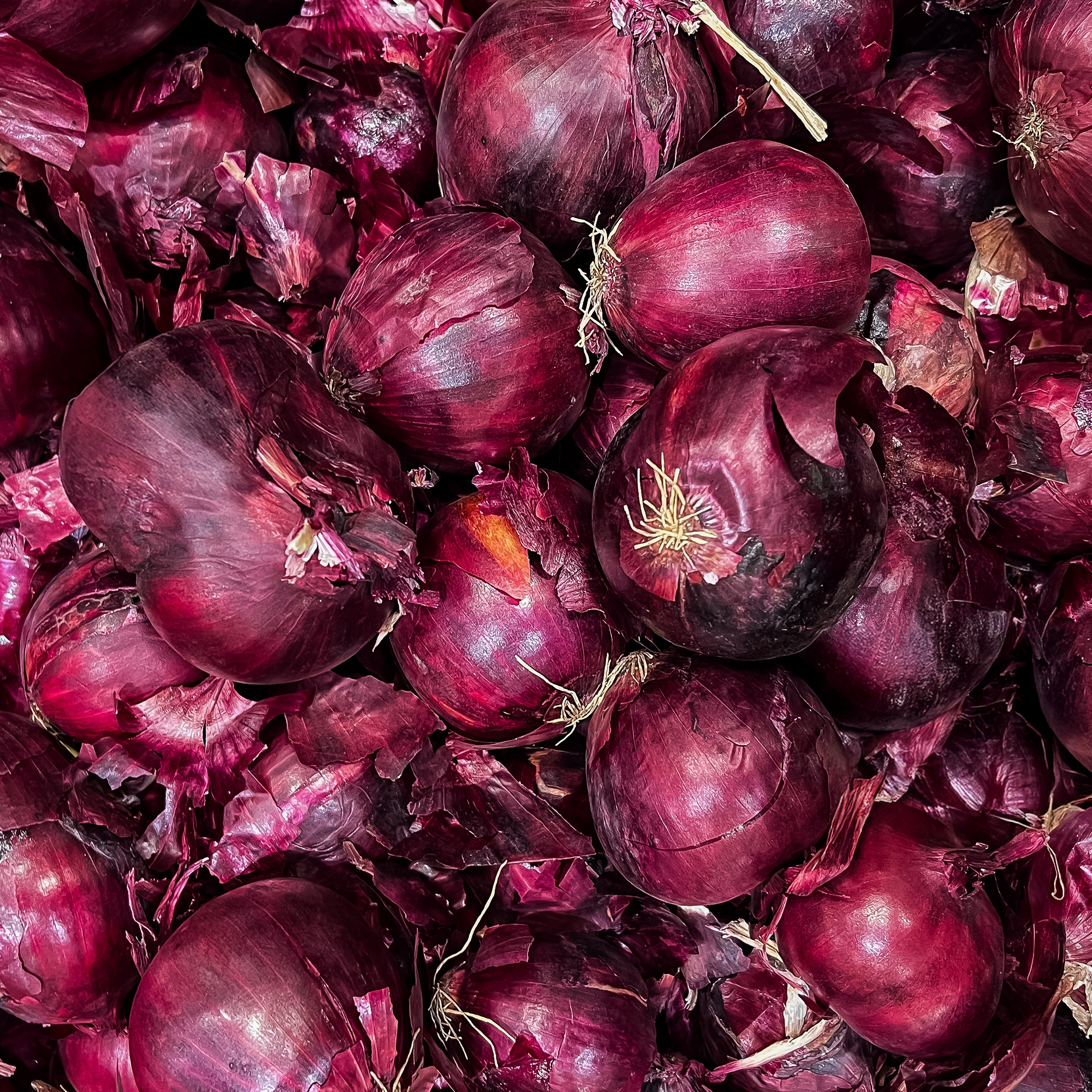 Red Onion