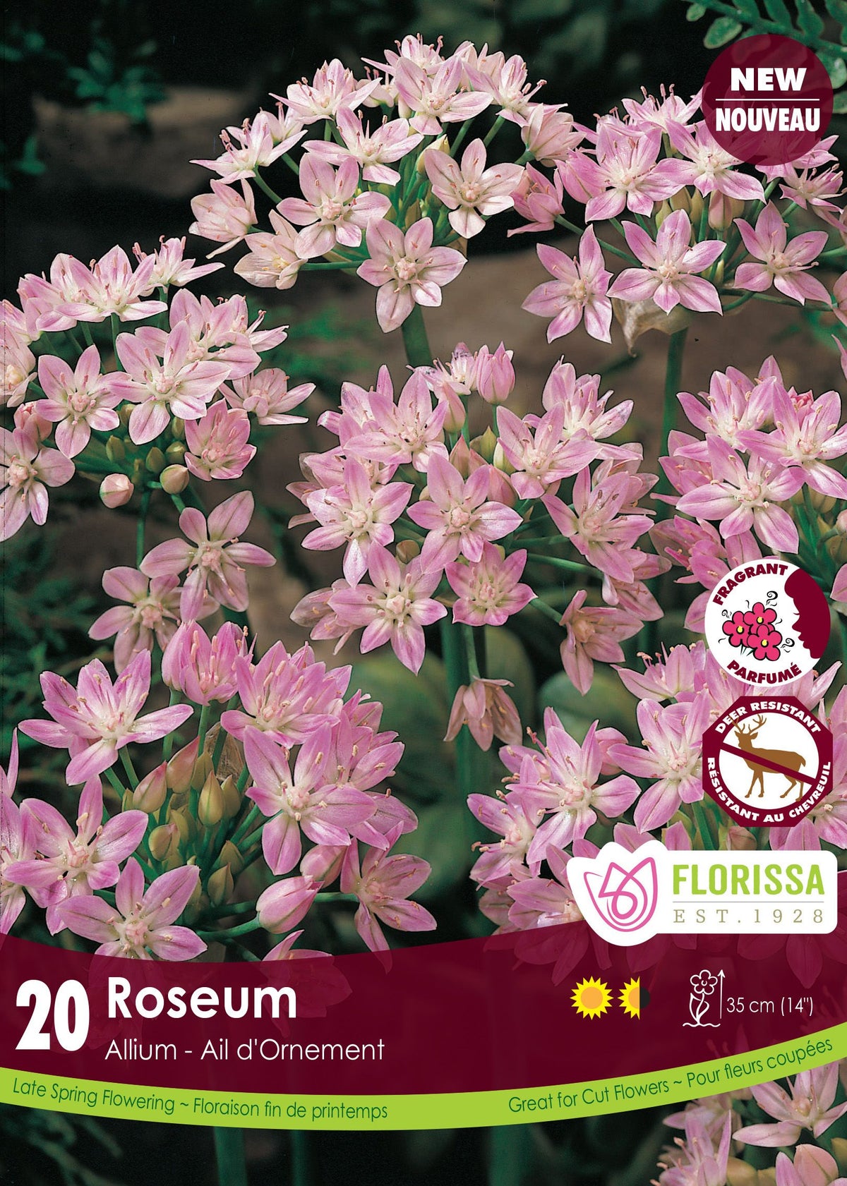 Ail rosé ( Allium roseum ) : des bouquets de petites fleurs étoilées roses. Le visuel Florissa présente la plante et son nom dans la partie inférieure de l’étiquette. La photographie occupe presque toute la surface, tandis que le bandeau du bas rassemble les indications du produit. Cette vue permet de reconnaître son apparence et de distinguer la variété présentée.