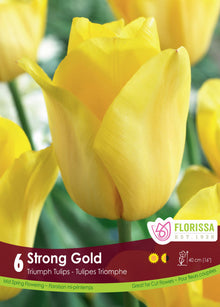 Tulipe Strong Gold ( Tulipa ) : une tulipe jaune vif entourée d’autres fleurs jaunes. Le visuel Florissa présente la plante et son nom dans la partie inférieure de l’étiquette. La photographie occupe presque toute la surface, tandis que le bandeau du bas rassemble les indications du produit. Cette vue permet de reconnaître son apparence et de distinguer la variété présentée.