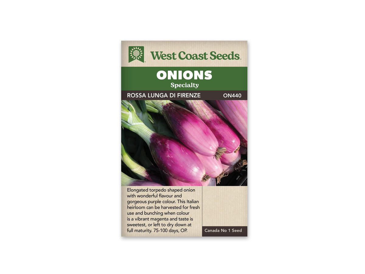Des oignons longs et effilés sont regroupés sur une surface claire. Leurs bases passent du blanc au rose et au violet soutenu, avec des racines fines encore attachées. Des feuilles vertes prolongent les bulbes vers le côté gauche de l'image. Le sachet de West Coast Seeds présente cette récolte sous le nom Rossa Lunga di Firenze.