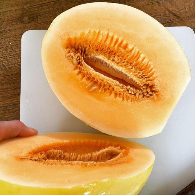 Orange flesh honeydew melon organic