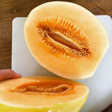 Orange flesh honeydew melon organic