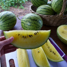 Watermelons 'in trio'