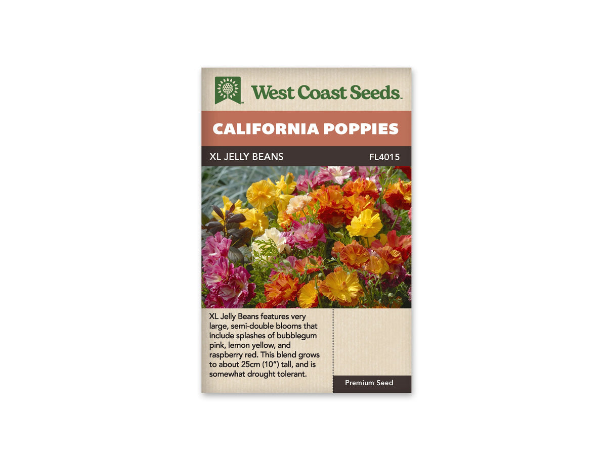 Sachet XL Jelly Beans de West Coast Seeds sur fond blanc. La photo présente des fleurs aux pétales ondulés roses, jaunes, orange et rouges, au milieu d’un feuillage vert découpé. Plusieurs corolles ont des tons mêlés et des bords plus clairs. Le bandeau orange indique California Poppies et la bande brune porte XL Jelly Beans, code FL4015.