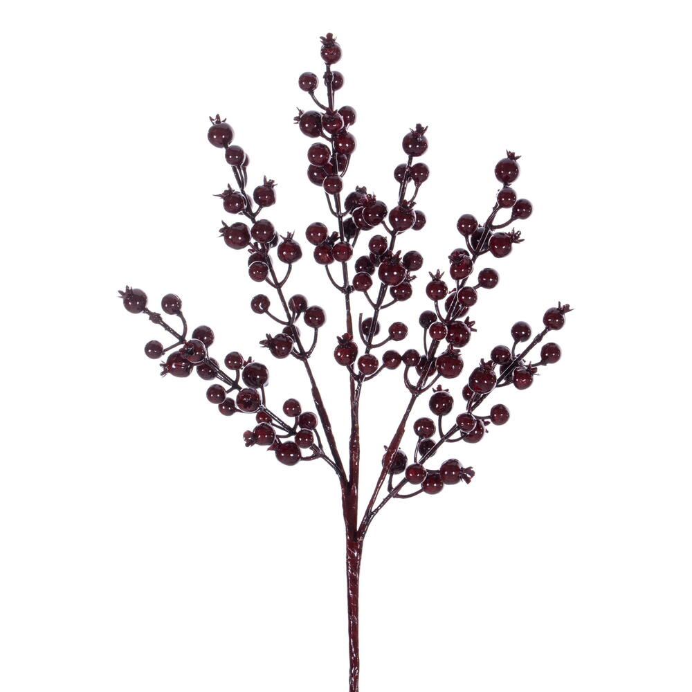Pick Baies  Bourg.  14"