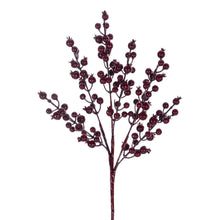 Pick Baies  Bourg.  14"