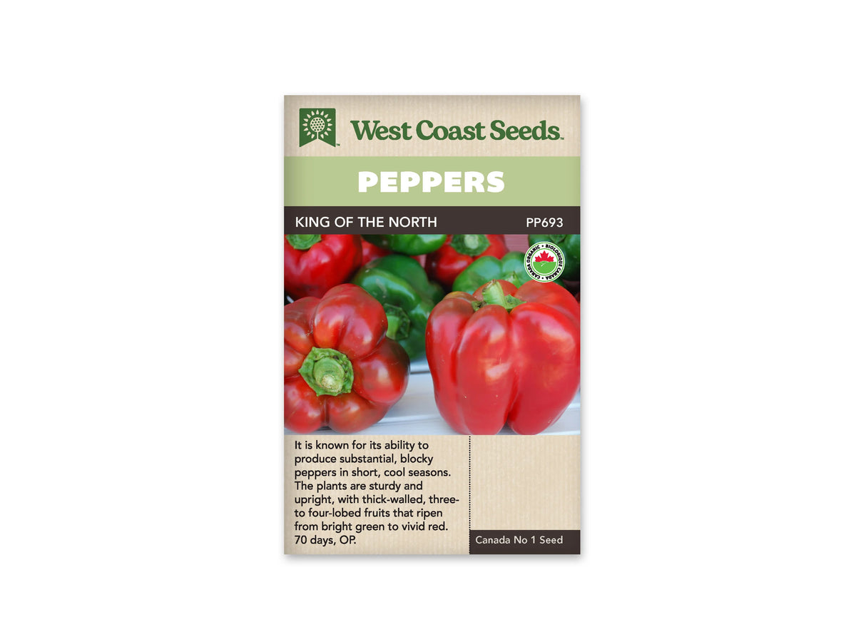 Sachet West Coast Seeds de poivron King of the North, avec un bandeau vert pâle marqué Peppers. La photo montre plusieurs gros fruits rouges lobés, avec des poivrons verts en arrière-plan. Un fruit rouge se trouve au premier plan à droite. Le code PP693 et un logo biologique sont visibles sur la face du sachet.