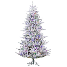 Sapin Mont Tremblant