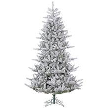 Sapin Mont Tremblant