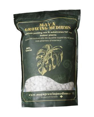Perlite grossière Maya — photo sur fond blanc