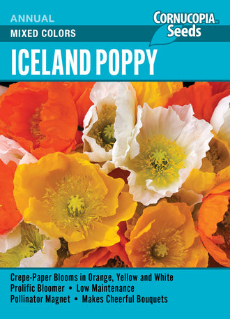 Visuel officiel de Cornucopia associé aux semences de Pavot d’Islande en mélange, référence CS349. Cette référence propose des pavots d’Islande de différentes couleurs. Les fleurs légères permettent de créer des groupes décoratifs dans les bordures. Cette image accompagne la fiche de cette sélection et permet de repérer le produit correspondant dans le catalogue de semences.