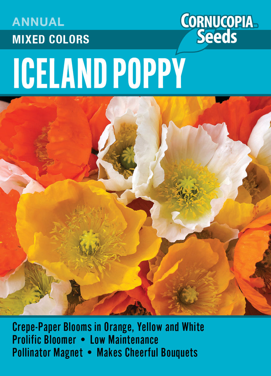 Visuel officiel de Cornucopia associé aux semences de Pavot d’Islande en mélange, référence CS349. Cette référence propose des pavots d’Islande de différentes couleurs. Les fleurs légères permettent de créer des groupes décoratifs dans les bordures. Cette image accompagne la fiche de cette sélection et permet de repérer le produit correspondant dans le catalogue de semences.