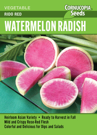 Visuel officiel de Cornucopia associé aux semences de Radis melon d’eau ‘Rido Red’, référence CS350. Cette référence propose un radis de type melon d’eau nommé Rido Red. Il se cultive pour ses racines et permet de varier les récoltes de radis au potager. Cette image accompagne la fiche de cette sélection et permet de repérer le produit correspondant dans le catalogue de semences.