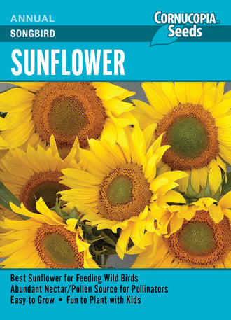 Visuel officiel de Cornucopia associé aux semences de Tournesol ‘Songbird’, référence CS352. Cette référence propose le tournesol Songbird. Les capitules laissés à maturité permettent d’observer le développement des graines au jardin. Cette image accompagne la fiche de cette sélection et permet de repérer le produit correspondant dans le catalogue de semences.