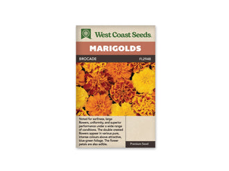 Sachet Brocade de West Coast Seeds sur fond blanc. La photo présente des fleurs doubles jaunes, orange et acajou, certaines bordées de jaune. Les pétales serrés forment des cœurs frisés et des contours arrondis. Quelques feuilles vertes apparaissent entre les capitules. Le bandeau orange indique Marigolds; la bande brune porte le nom Brocade et le code FL2948.