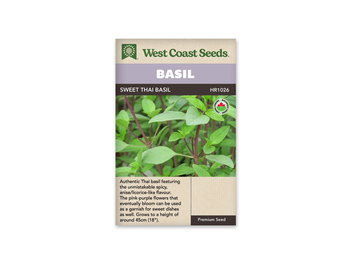 Sachet West Coast Seeds de Basilic thaï doux, présenté de face sur fond blanc. La photo centrale présente des feuilles vertes étroites et pointues, portées par des tiges pourpres bien visibles. Un symbole biologique est placé dans le haut de l’image du sachet. Un bandeau mauve indique BASIL, au-dessus du nom imprimé sur fond foncé. Le bas beige contient un texte descriptif en anglais.