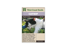 Sachet de cataire West Coast Seeds présenté de face sur fond blanc. La photographie centrale montre un chat blanc et noir qui approche son museau d’un feuillage vert. Le bandeau mauve porte le mot CATNIP, et le nom Nepeta cataria figure sur la ligne foncée. La partie beige inférieure contient un texte descriptif en anglais et une petite mention de qualité.