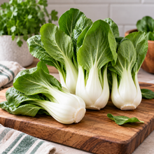 Pak choï 'Baby White Stem' bio (Brassica rapa subsp. chinensis)