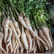 Parsnip 'Homeschooler'