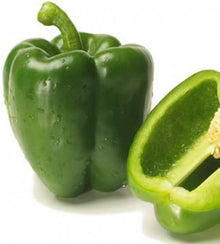 Semences Poivron doux 'California Wonder' (Capsicum annuum)