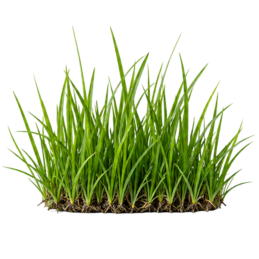 Acti-Sol Engrais Naturel Pour Gazon - Toutes saisons 7-2-4
