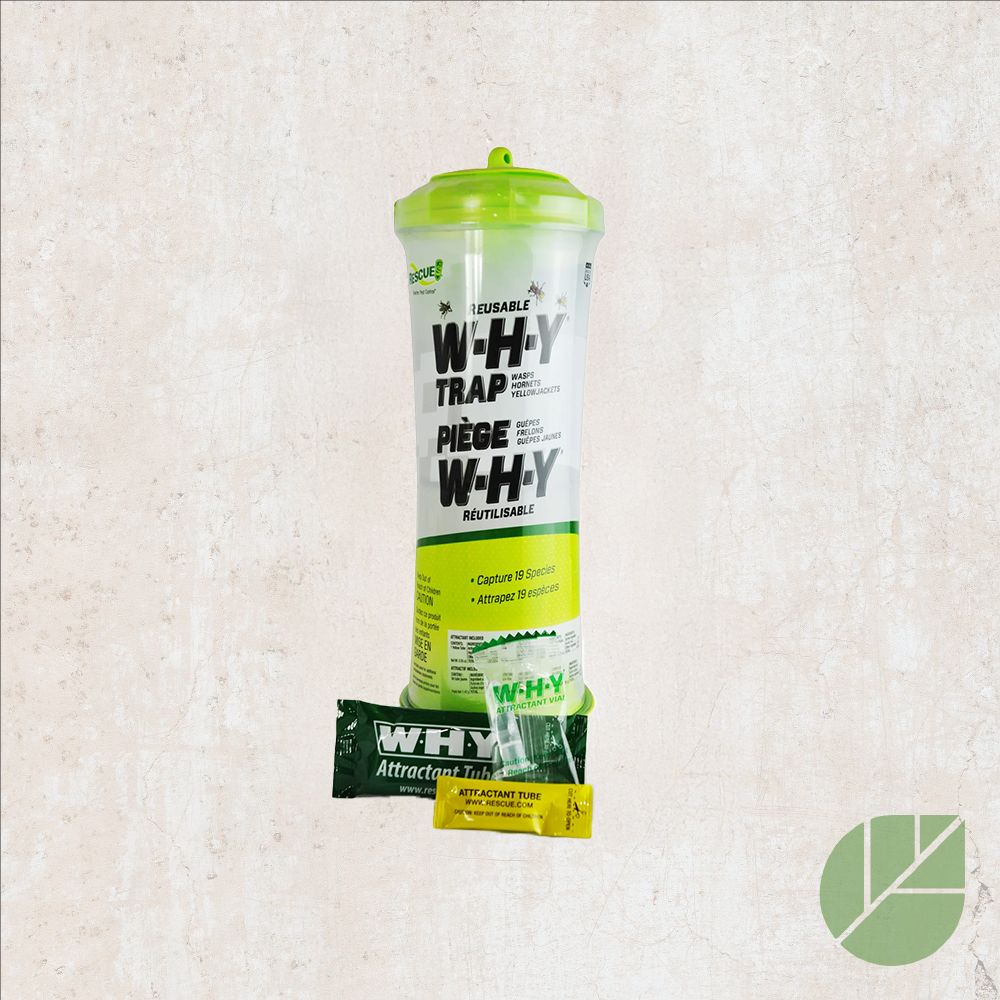 Piège à guêpes et frelons RESCUE!® W·H·Y® Réutilisable