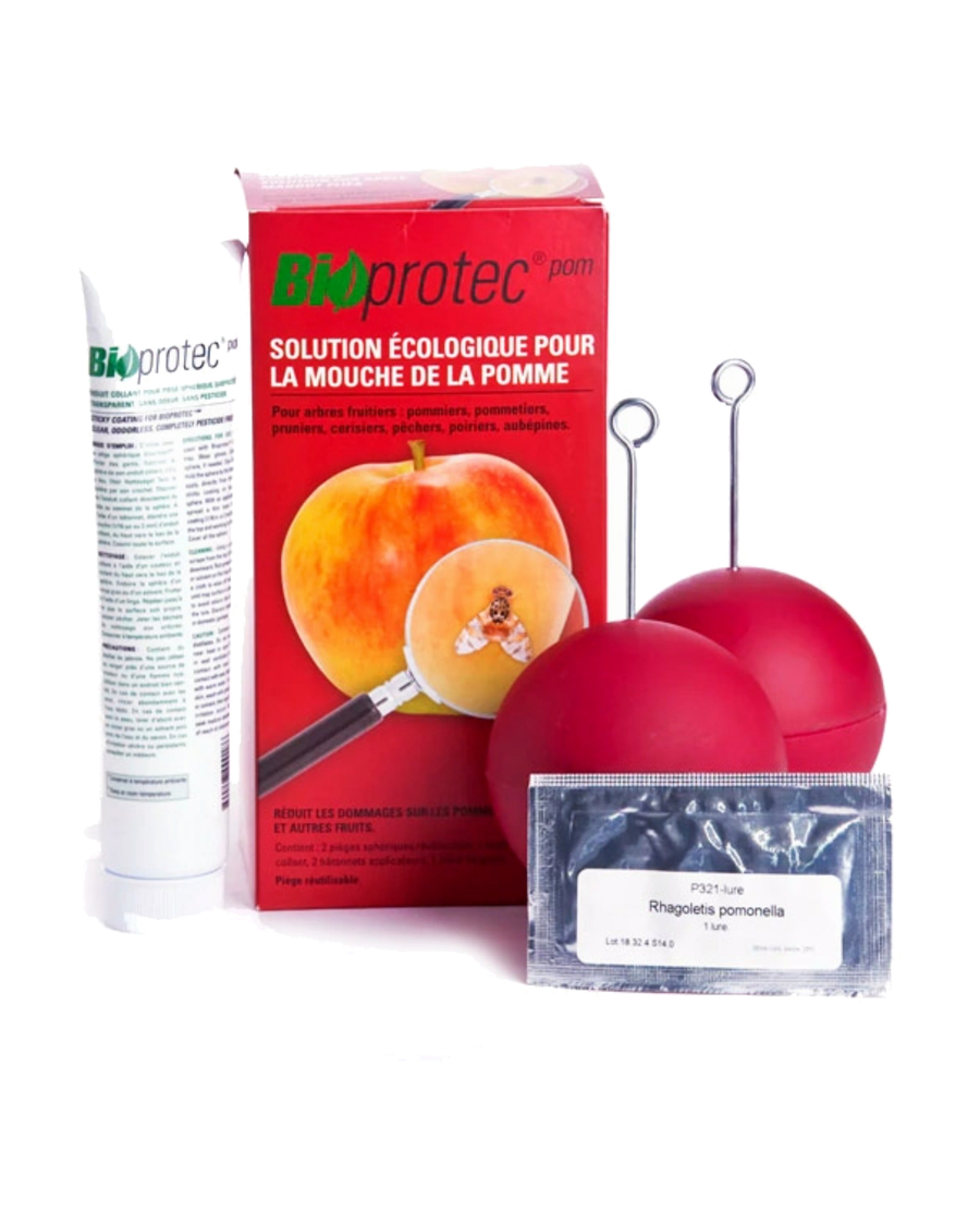Piège à mouche de la pomme Bioprotec — photo sur fond blanc