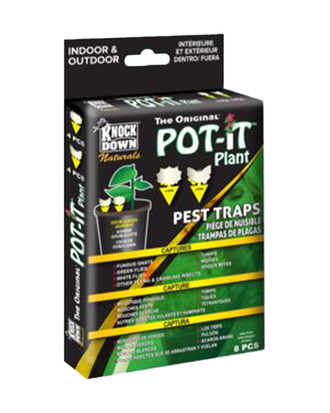 Piège collant pour insectes nuisibles Pot-It® de Knock Down® — photo sur fond blanc