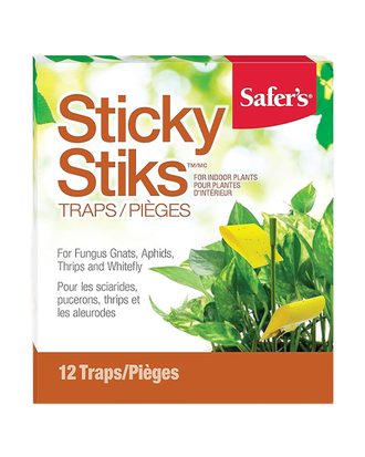 Pièges collants pour plantes d'intérieur (12 unités) / Safer's — photo sur fond blanc