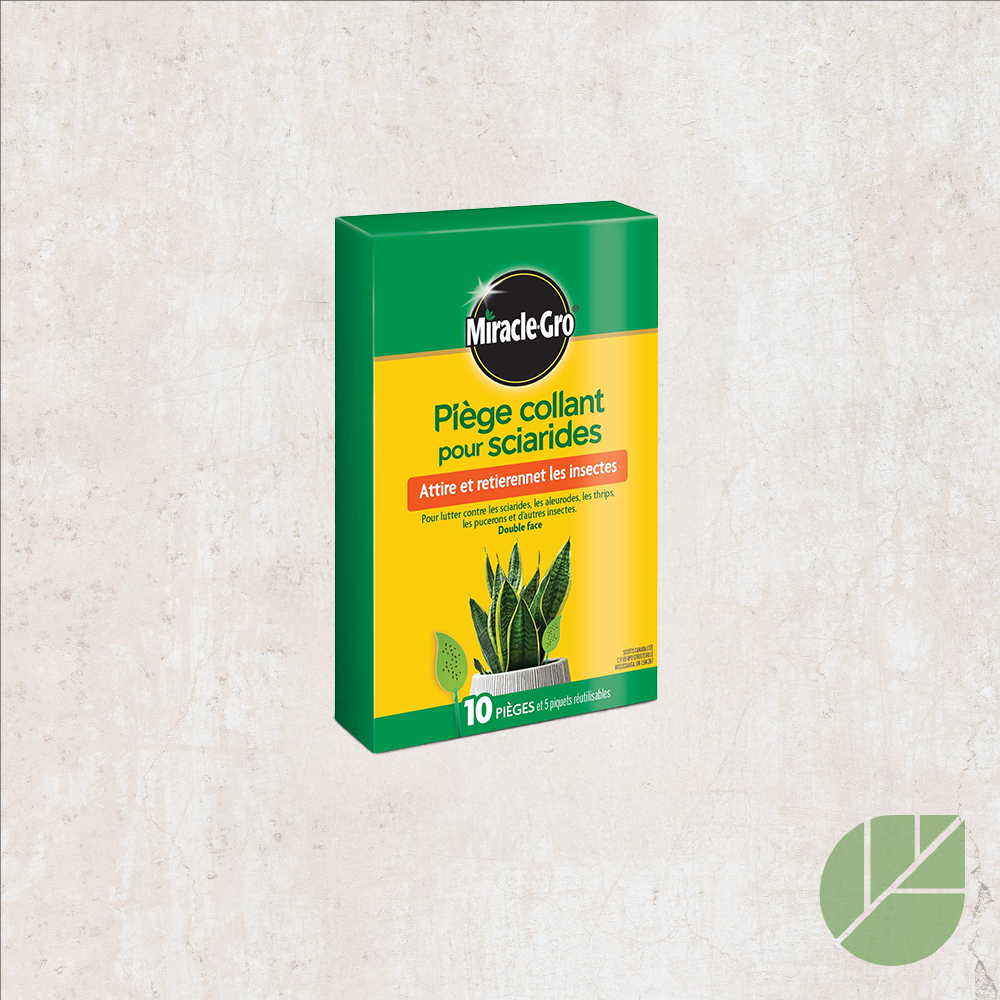 10 Miracle-Gro Sciarid Sticky Traps