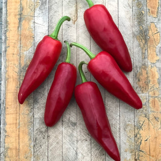 Piment fort Gorria. Piments rouges coniques disposés sur du bois. Le cadrage permet de voir les formes, les couleurs et les détails du sujet représenté. Les contours se détachent du fond de l’image, avec des différences de teinte et de texture visibles sur les surfaces. Cette vue accompagne la présentation du produit dans la boutique.