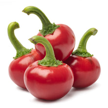 Hot Pepper 'Cherry Red Hot'
