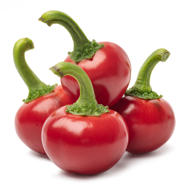 Hot Pepper 'Cherry Red Hot'