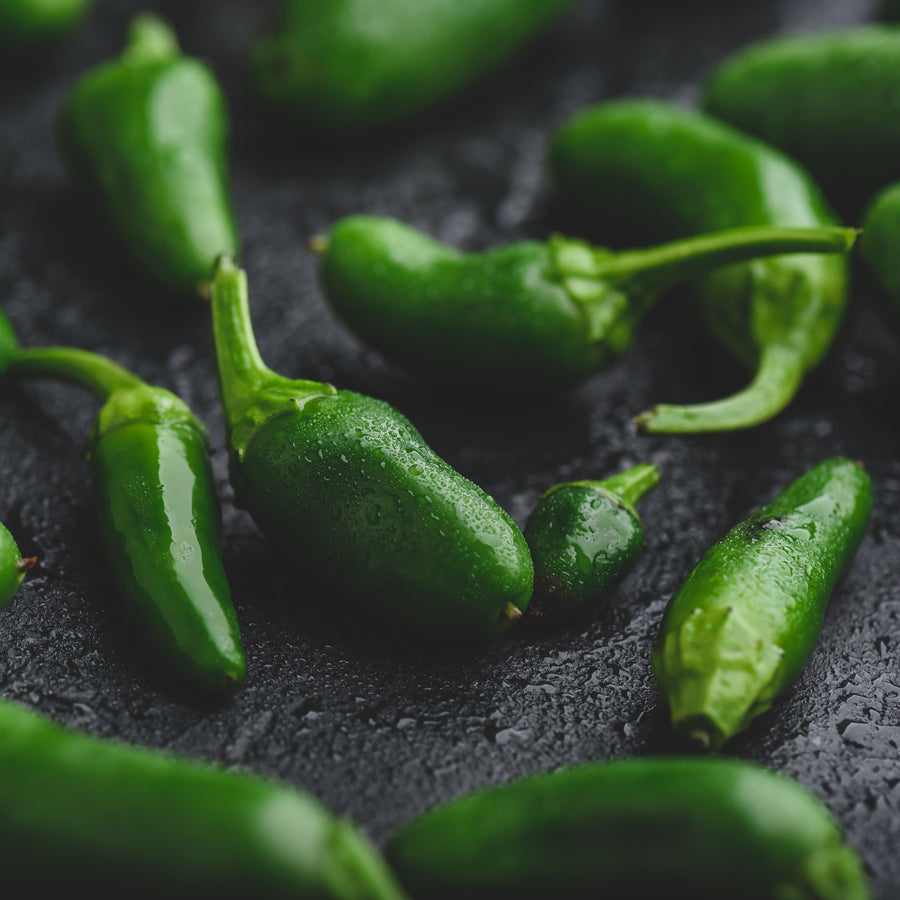 Piment fort 'Jalapeno'