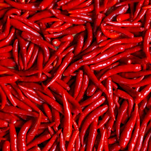 Piment fort 'Long Red Cayenne'