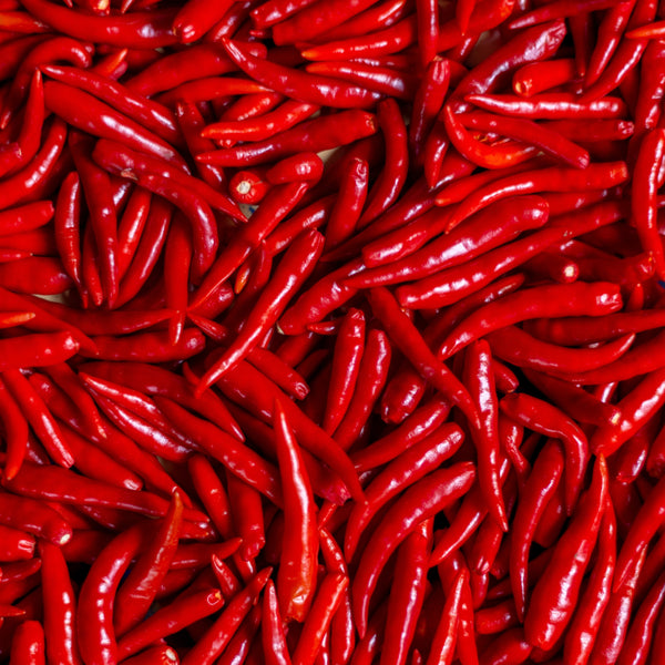 Chilli 'Long Red Cayenne'