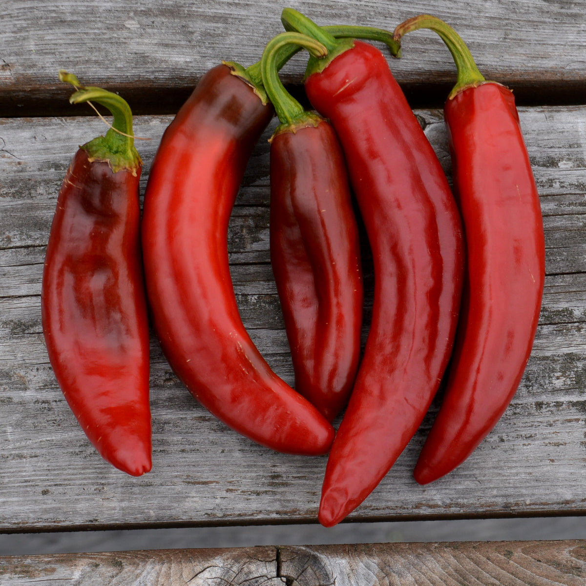 Piment fort Paprika Hongrois. Piments rouges allongés et lisses, vus du dessus. Le cadrage permet de voir les formes, les couleurs et les détails du sujet représenté. Les contours se détachent du fond de l’image, avec des différences de teinte et de texture visibles sur les surfaces. Cette vue accompagne la présentation du produit dans la boutique.