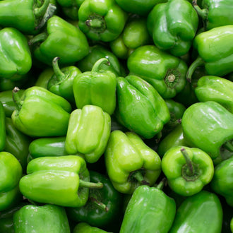 Photographie de Poivron vert bio (Capsicum annuum ‘Procraft’), sélection proposée en semences W.H. Perron. Le visuel présente l’apparence de la plante ou de sa récolte et permet d’en observer les formes et les couleurs. Cette vue illustre les caractéristiques visibles de la sélection, dans une présentation destinée à accompagner son identification et à montrer son intérêt au jardin.