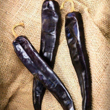 Hot pepper 'Hot Durango'