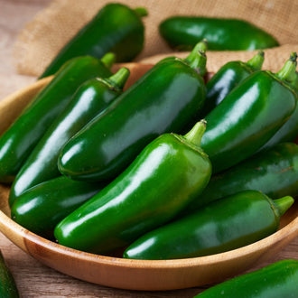 Photographie de Piment fort vert (Capsicum annuum ‘Jalapeno’), sélection proposée en semences W.H. Perron. Le visuel présente l’apparence de la plante ou de sa récolte et permet d’en observer les formes et les couleurs. Cette vue illustre les caractéristiques visibles de la sélection, dans une présentation destinée à accompagner son identification et à montrer son intérêt au jardin.